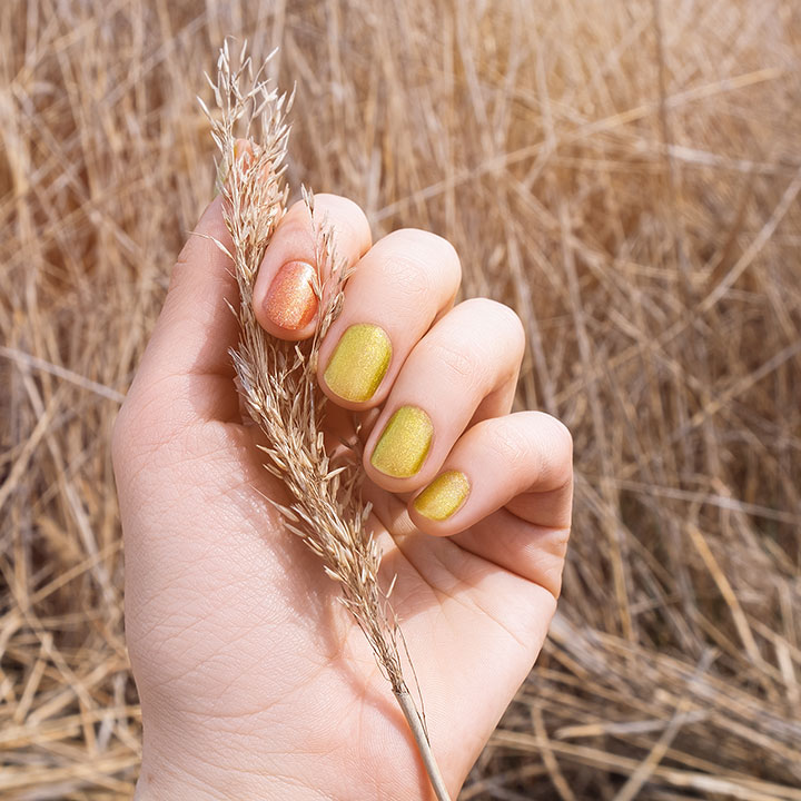 Rose Nails